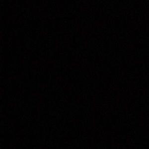 Meet your Posher, Riley